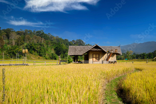 Homestay in the forest House made of bamboo at Chiang Dao chiangmai thailand.
