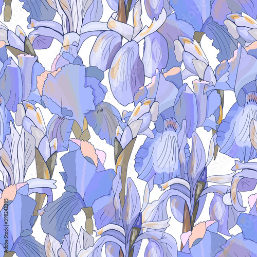 Romantic floral seamless pattern with violet irises.