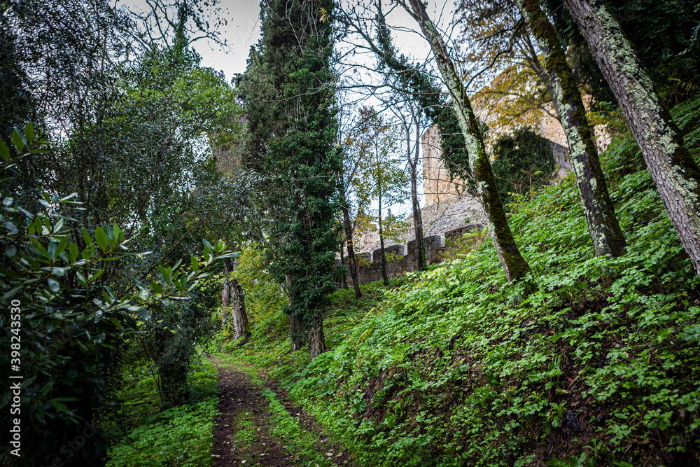 Obraz premium Paths around the woods of Convent of Christ, Tomar, Portugal