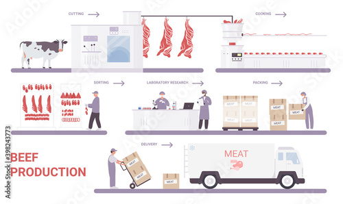 Beef production on meat factory infographic process vector illustration. Cartoon info education poster with automated processing line from cutting, sorting, packaging farm meat products technology