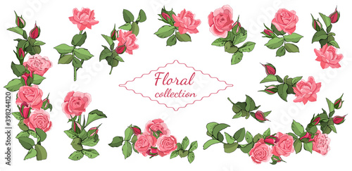 Set of roses and leaves isolated on white background.