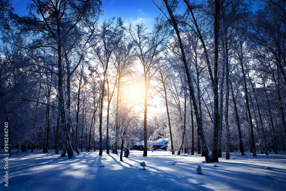 Winter Nature Landscape Winter Nature Landscape