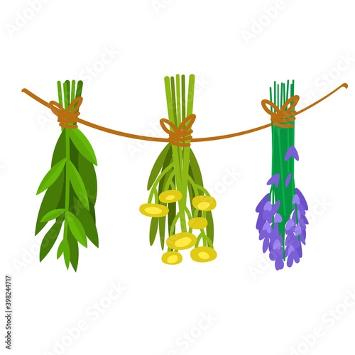 Set of dried herbs. Cartoon flat vector illustration isolated on white background.