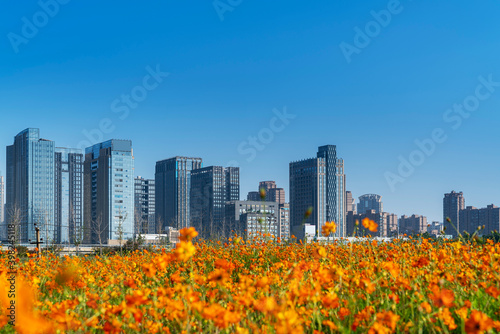 flower field in park at city center and modern city © gjp311