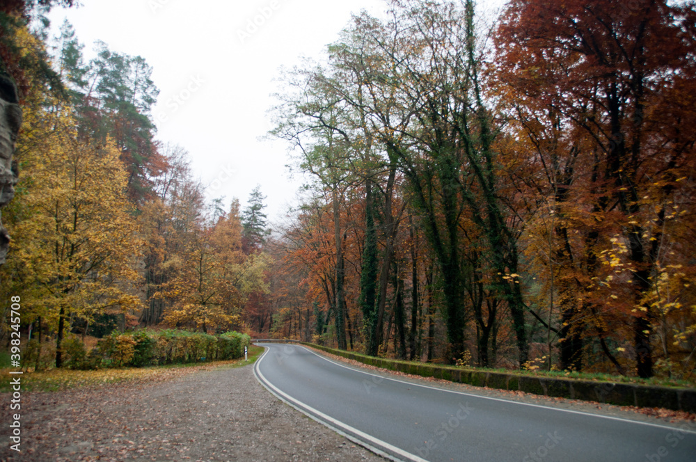 Scenery. Beautiful asphalt road through the autumn forest. Fall. Trees with yellow leaves. Scenery. Beautiful asphalt road through the autumn forest. Fall. Trees with yellow leaves.