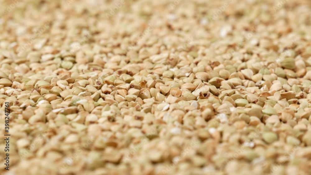 Green buckwheat, side view. Healthy food concept. Green buckwheat, side view. Healthy food concept.