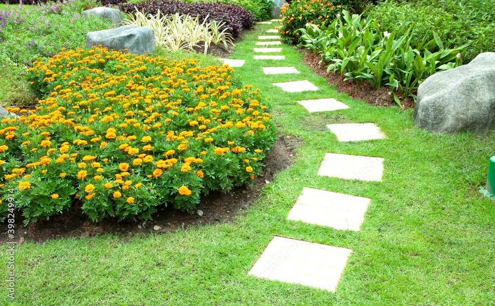 Obraz premium Beautiful flower garden