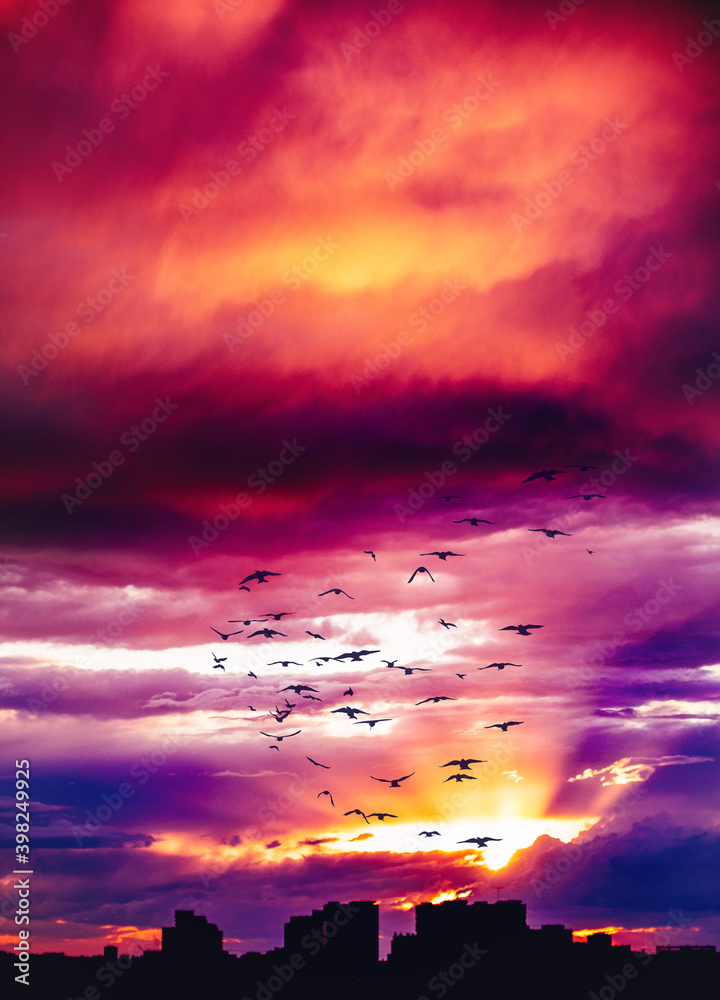 A dramatic and colorful cloudy sunset sky.  with a flock of birds, vertical image 