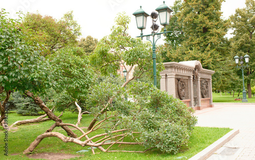  Moscow, the Alexandrovsky Garden photo