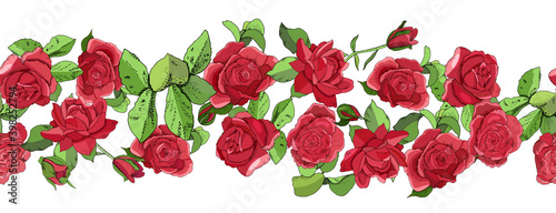 Flowers seamless border isolated on white background. Hand drawn illustration of roses.