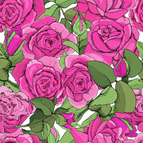 Flowers seamless pattern isolated on white background. Vector hand drawn illustration of roses.