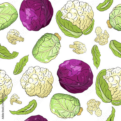 Vector seamless pattern with different kind of cabbage isolate on white background.