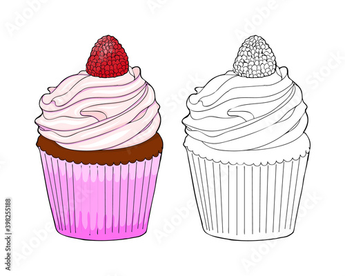 Coloring book page. Sketch and color version cupcake with raspberry. Coloring for kids. Hand drawing. Vector illustration. graphic style.