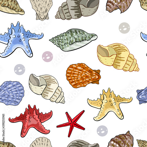 Seamless pattern with seashells isolate on white background. Excellent print for greeting cards, clothes, fabric, gift box.