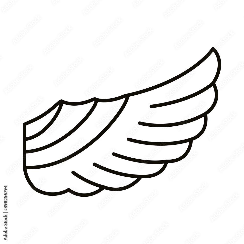wing feathers bird style line icon