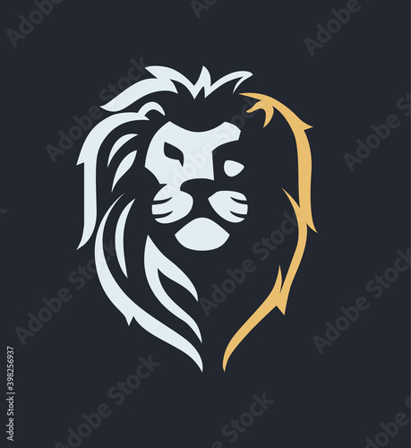 lion head emblem on dark background