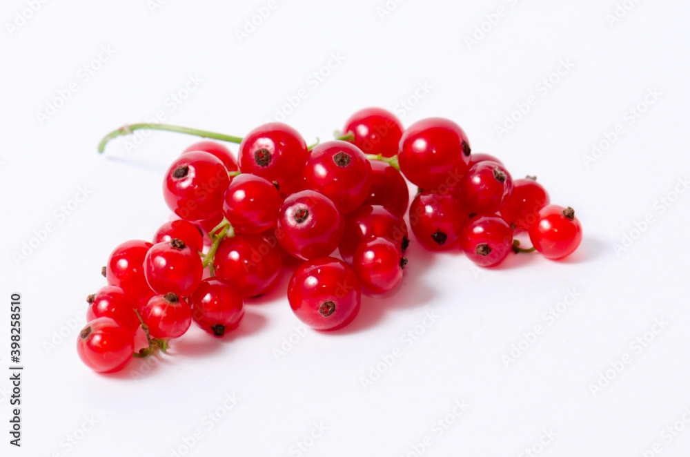 bunch of red currants on a white background. bunch of red currants on a white background.