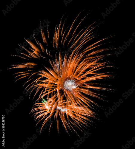 Colorful fireworks in Malta with the dark sky background and house light in the far  Malta fireworks festival  4 of July  Independence day  explosion