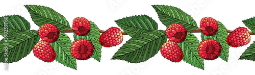 Seamless summer pattern with ripe raspberries and leaves. Vector illustration. Design for textiles, labels, posters, banners