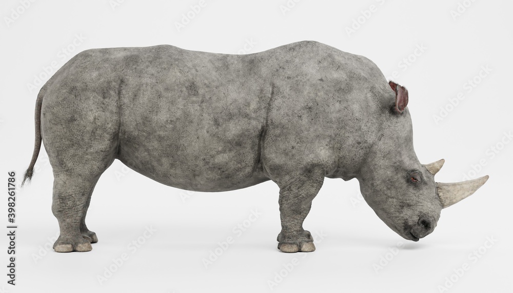 Realistic 3D Render of White Rhinoceros Realistic 3D Render of White Rhinoceros