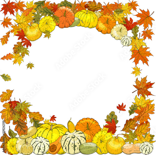 Autumn frame isolated on white background. Pumpkins, leaves, acorns.