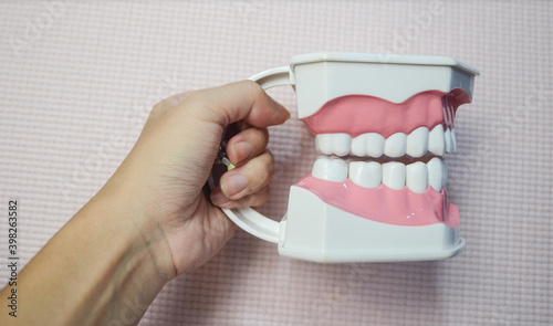 Hand holding Teeth model on white background.Dental care concept.