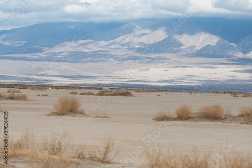 Mojave Desert