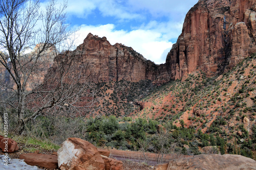 Obraz na płótnie Zion National Park, Utah w salonie
