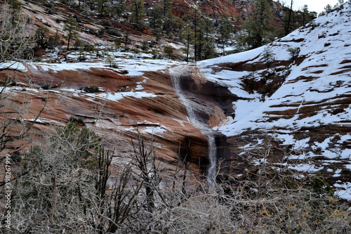 Obraz na płótnie Zion National Park, Utah w salonie