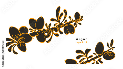 Argan plant. Vector graphic template. Organic oil