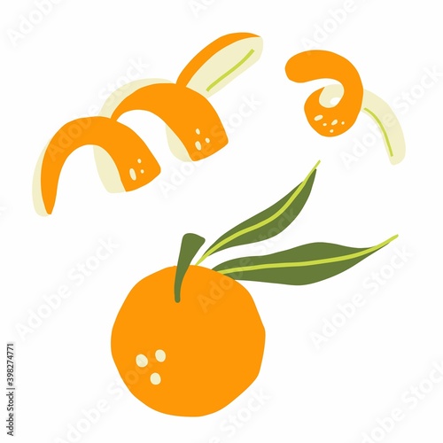 Mandarin branch. Exotic tropical orange citrus fresh fruit, whole juicy tangerine with orange peel vector cartoon minimalistic style isolated illustration, print or banner, label or poster, sticker