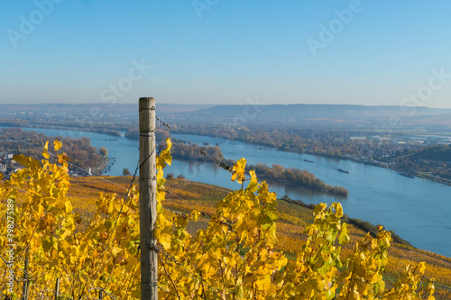 Rheinland im Herbst