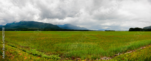 Juneau Alaska wetland refuge under stormy skies