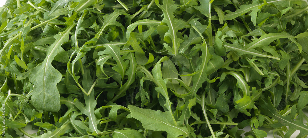 Fresh and natural salad texture Fresh and natural salad texture
