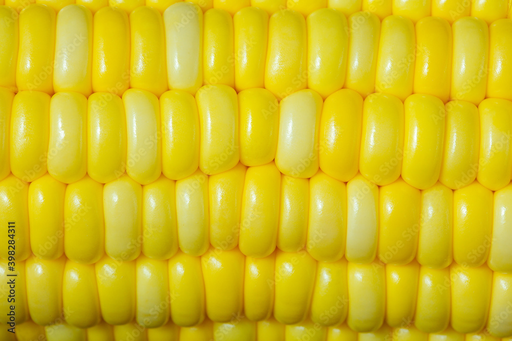yellow corn as a background. macro