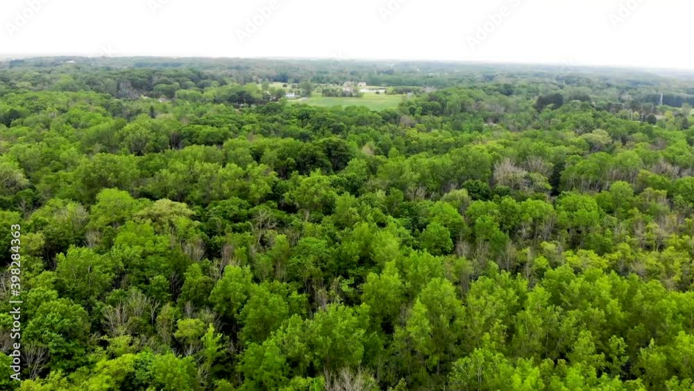 Aerial view of green forest and grassy clearing at UW Parkside Aerial view of green forest and grassy clearing at UW Parkside