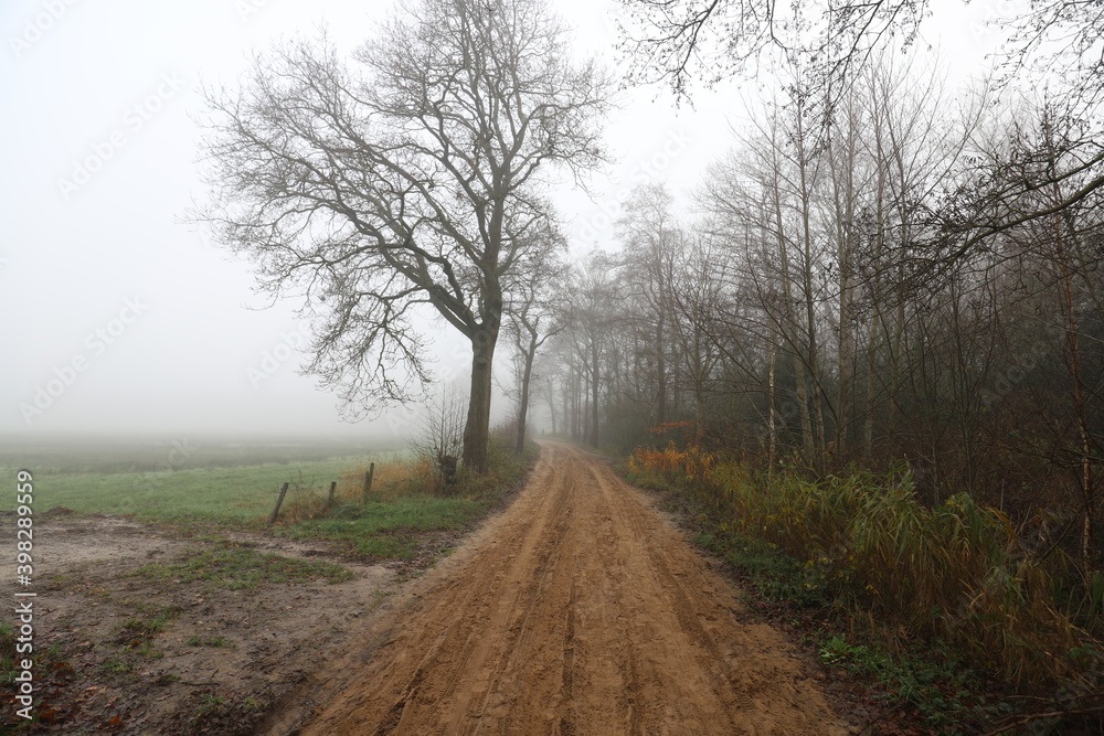 Fototapeta premium Beautiful autumn landscape on a misty morning with a lonely rural road along the meadows.