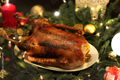 Photography Gebackene Weihnachtsgans mit Rotkohl und Klößen