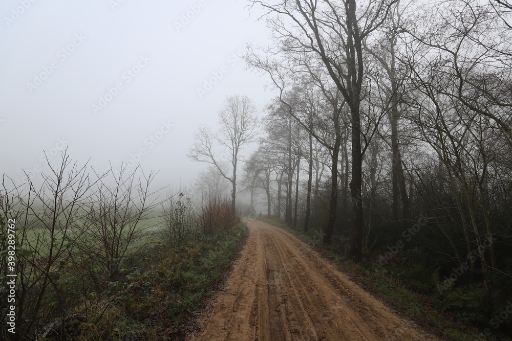 Obraz premium Beautiful autumn landscape on a misty morning with a lonely rural road along the meadows.