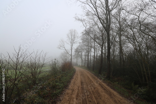 Beautiful autumn landscape on a misty morning with a lonely rural road along the meadows.