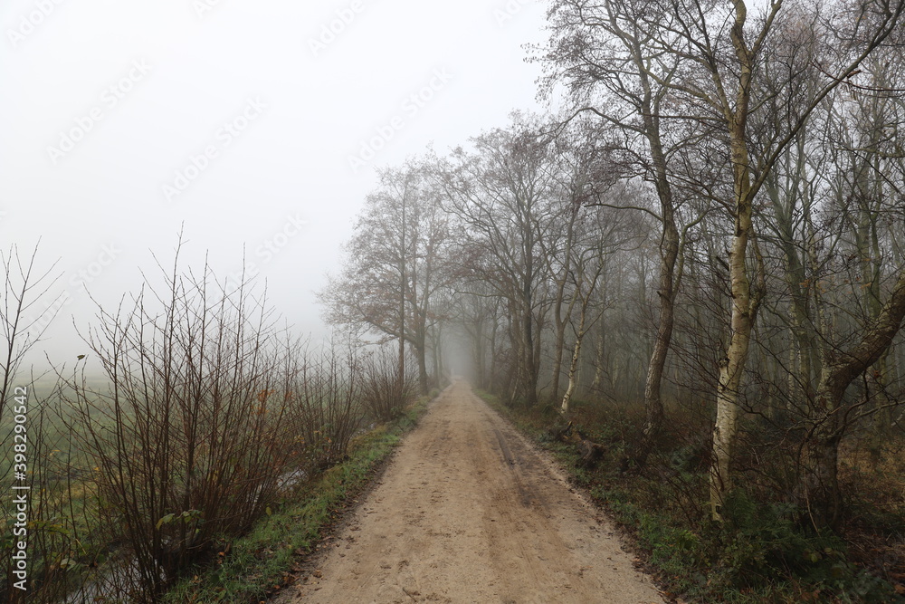 Rural dirt road on a foggy cold november day.
