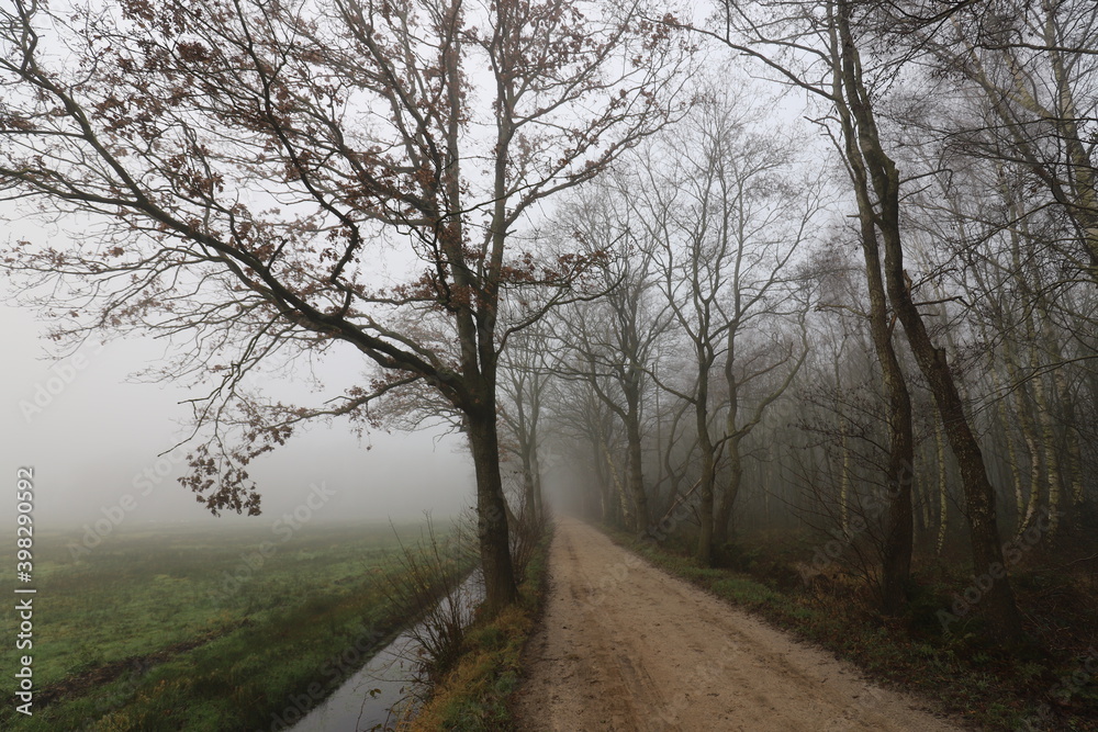 Rural dirt road on a foggy cold november day. Rural dirt road on a foggy cold november day.