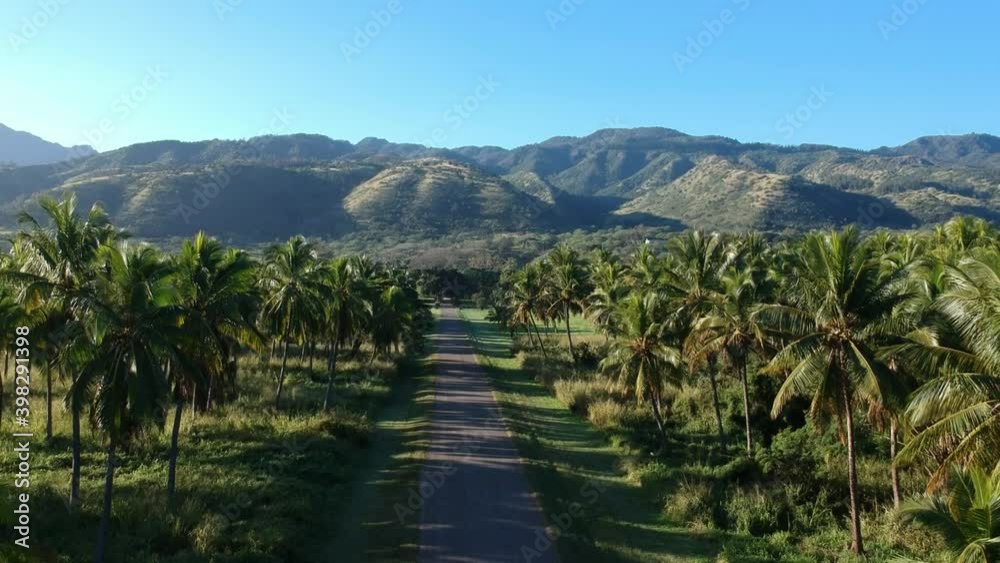 Rising drone shot of hawaii mountain range with palms alongside a straight drive dirt road and clear blue sky and a hawaiian afternoon light Rising drone shot of hawaii mountain range with palms alongside a straight drive dirt road and clear blue sky and a hawaiian afternoon light