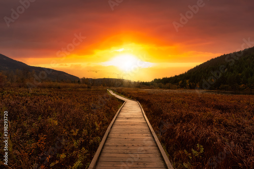 Fotografia Wooden walking path on One Mile Lake with flowers