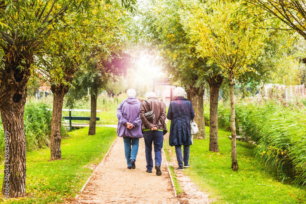 old people walking in a forest. old people walking in a forest.