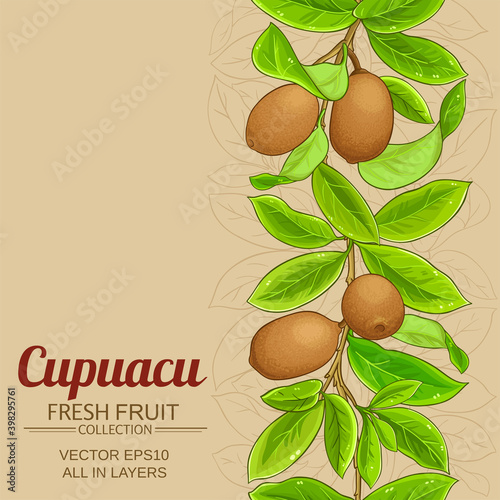 cupuacu vector background photo