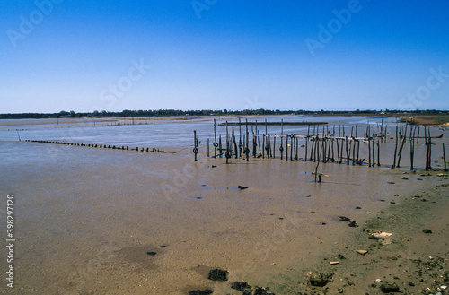 Réserve naturelle nationale, Baie de l’Aiguillon, Région Poitou Charente, 85, Vendée photo