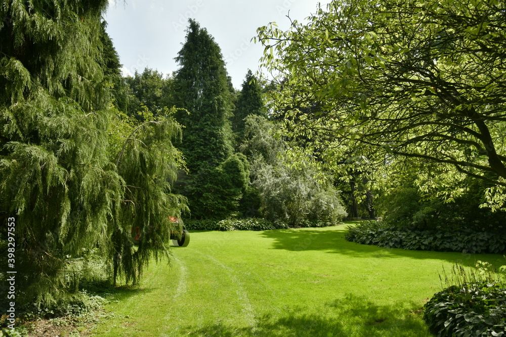 Coin reposant au milieu de la végétation luxuriante et paysagère de l'arboretum de Kalmthout au nord d'Anvers Coin reposant au milieu de la végétation luxuriante et paysagère de l'arboretum de Kalmthout au nord d'Anvers