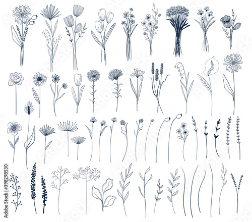 Set of isolated vector flowers and bouquets.