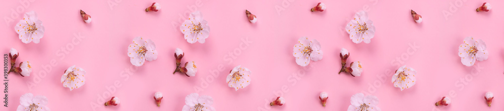 Fresh spring apricot flowers on pink paper background. Fresh spring apricot flowers on pink paper background.